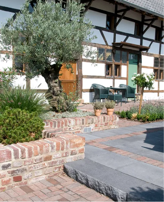 Gepflasterte Terrasse mit Klinkermauer und Olivenbaum vor einem Fachwerkhaus