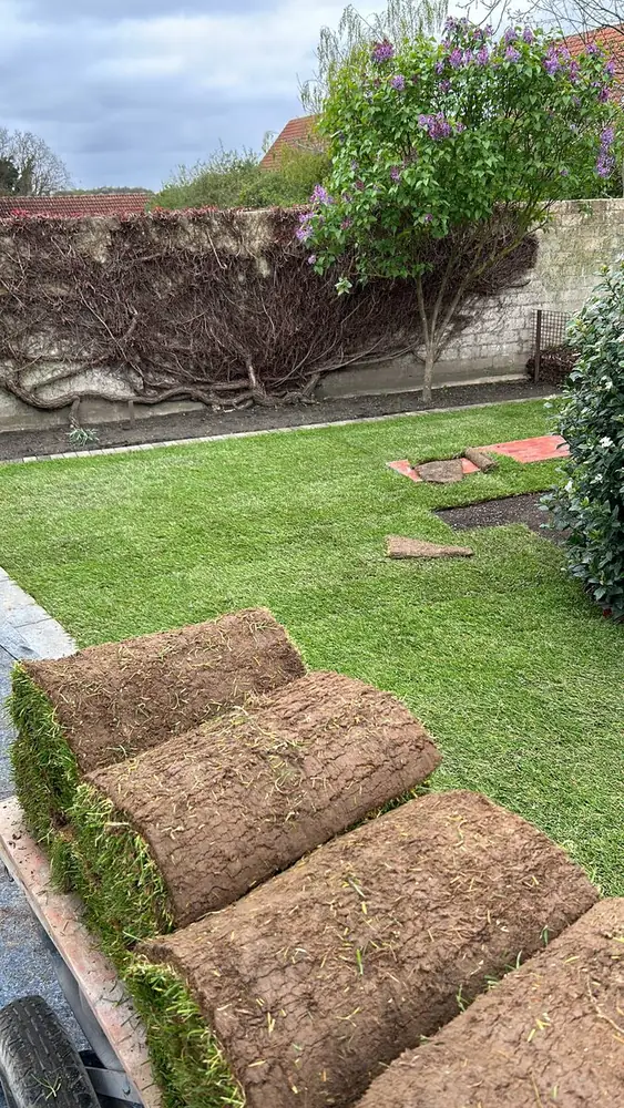 Rollrasen wird in einem Garten verlegt
