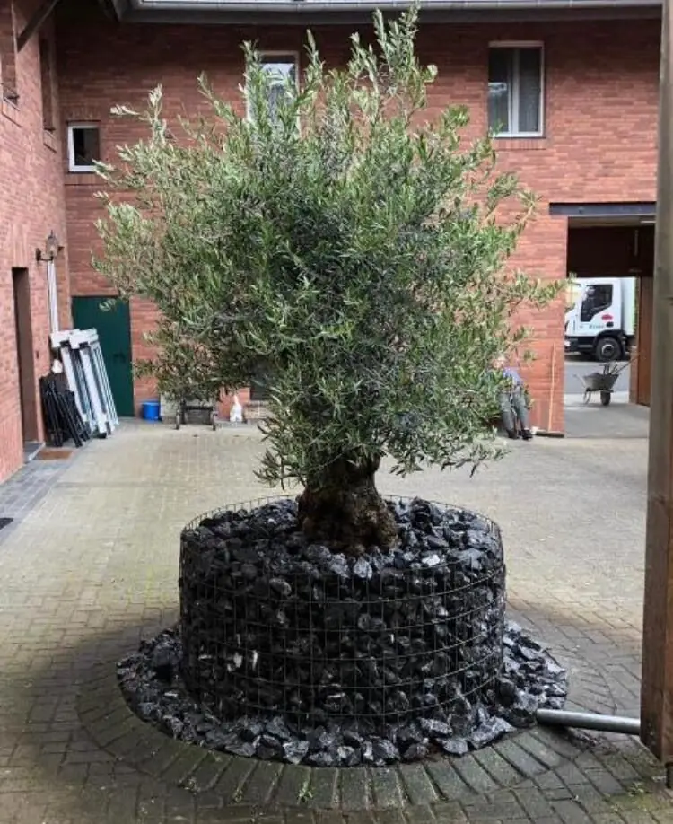 Referenzbild Gartenplanung und Gartengestaltung