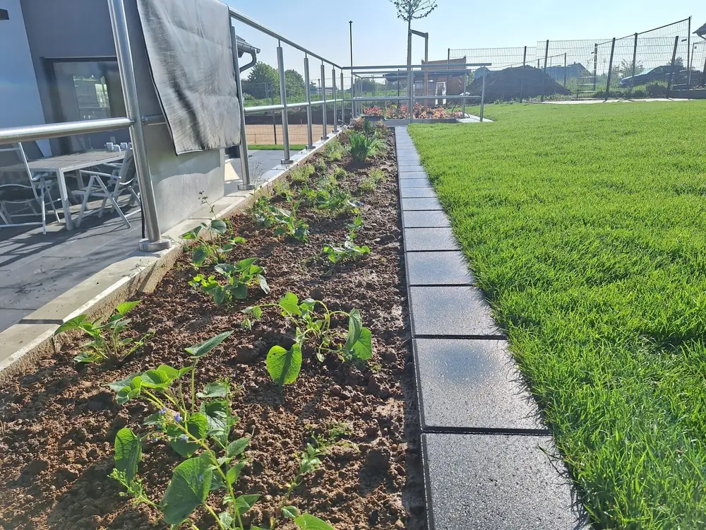 Referenzbild Gartenplanung und Gartengestaltung