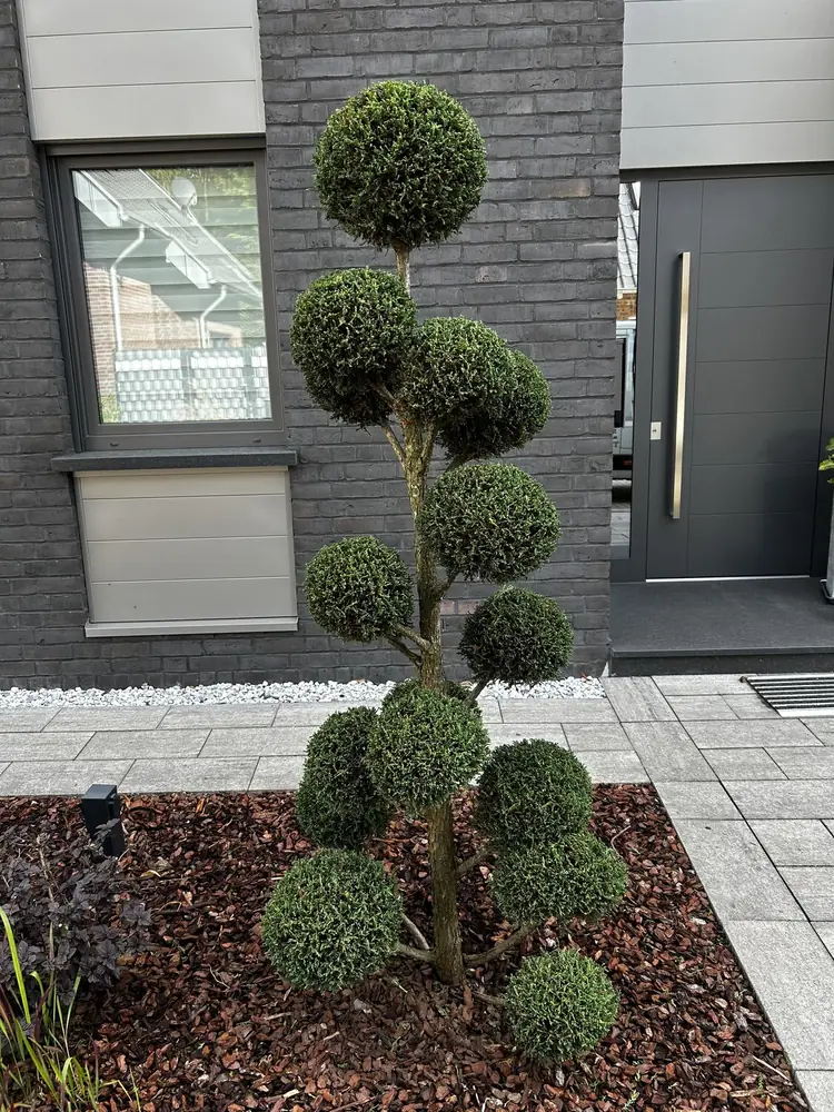 Referenzbild Pflege von Grünanlagen