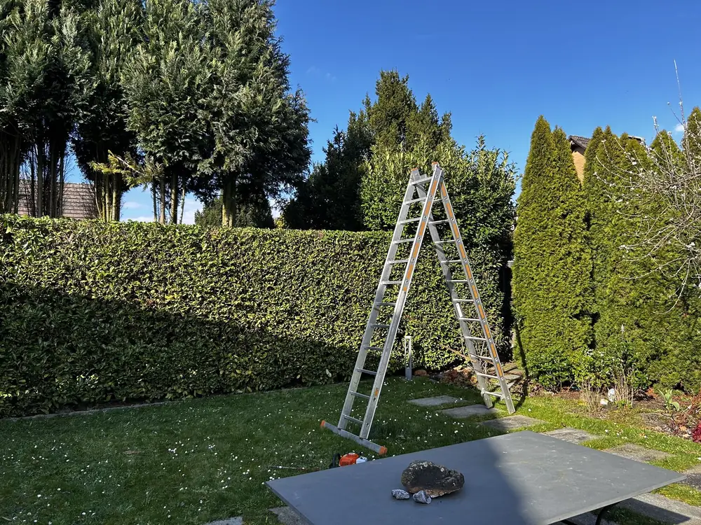 Referenzbild Baum- und Heckenschnitt