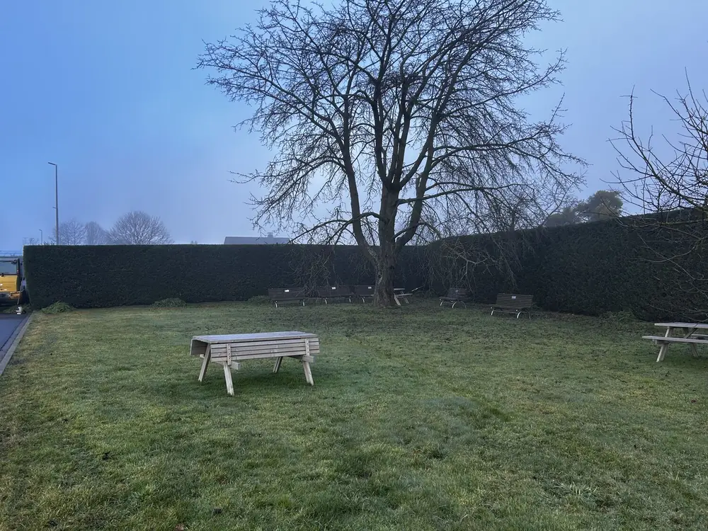 Referenzbild Baum- und Heckenschnitt
