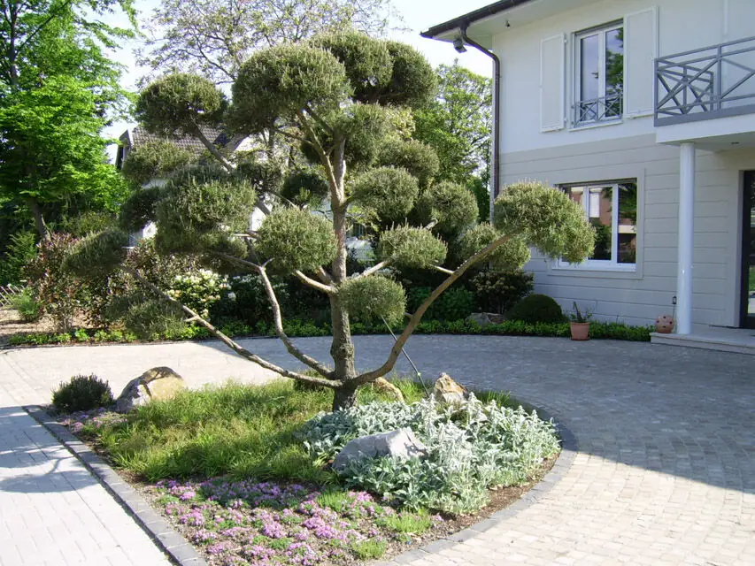 Referenzbild Bepflanzung von Gärten und Beeten