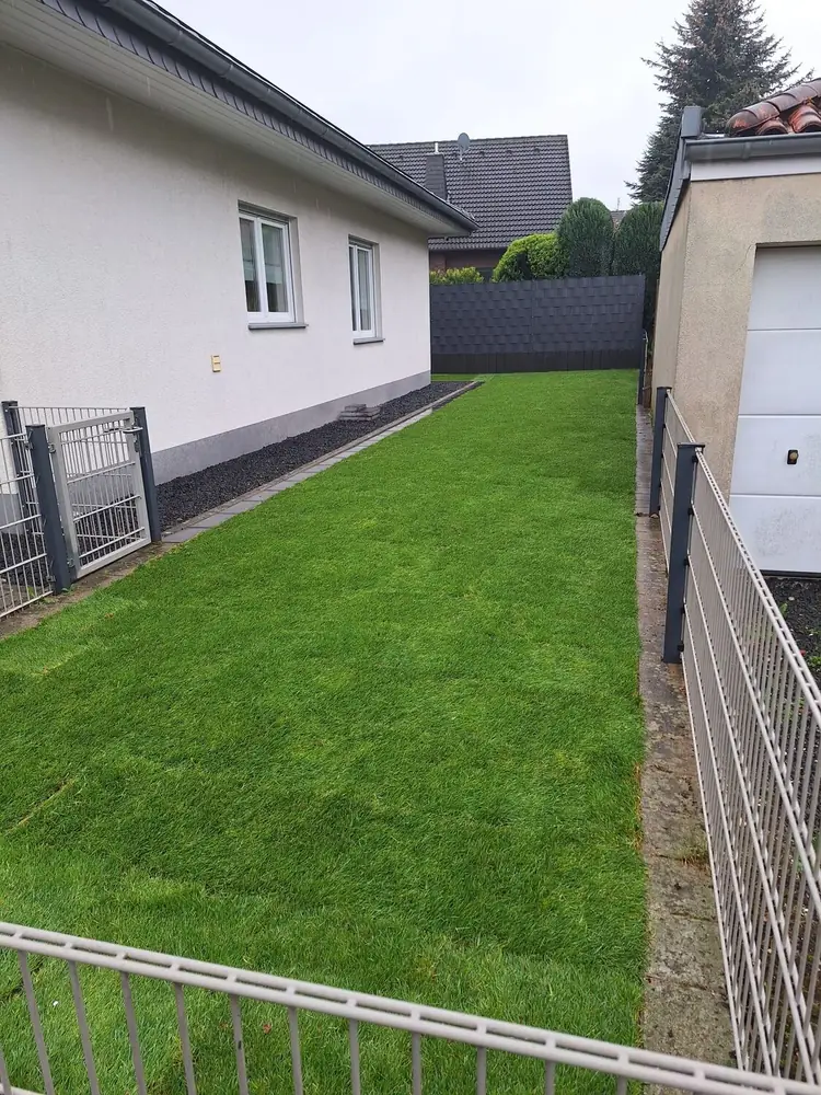 Referenzbild Rasen und Rollrasen